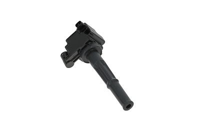 Picture of Ignition Coil - BorgWarner (BERU) - ZS473